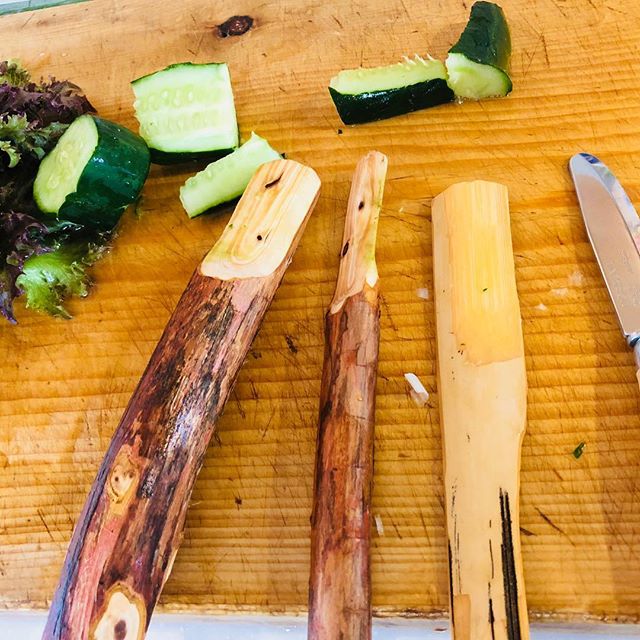 息子が夏休みの #自由研究 で、 #ナイフ で作った木のナイフは、どれだけ切れるか？なんていう、 #ブッシュクラフトインストラクター の父としては嬉しい課題を設定してくれたので、早速作ってみたよ。
